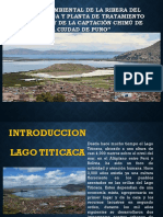 Exposicion Impacto PDF