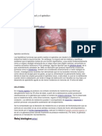 Estudios Sobre Anatomía Oculta