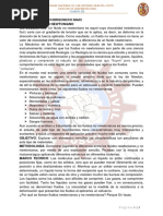 Fluido No Newtoniano PDF