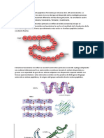 Estructuras de Las Proteinas