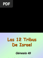 12 Tribus Piedras