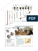 Australopithecus