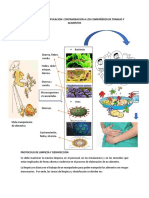 Esquema Mala Manipulacion