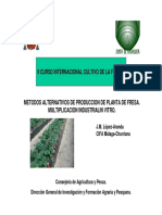 Metodos Alternativos de Produccion de Planta de Fresa.