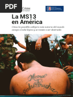 La MS13 en America Cómo La Pandilla Callejera Más Notoria Del Mundo Escapa A Toda Lógica y Se Resiste A Ser Destruida InSight Crime CLALS