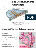 Gastrulação - Terceira Semana - Prof. Juliana Coelho