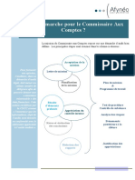 La Demarche D'audit Du Cac