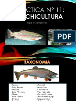 Truchicultura