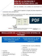 REGULACIÓN DE LA EXCRECIÓN Y CONCENTRACIÓN DE POTASIO.pptx