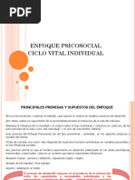 Ciclo Vital Individual - Enfoque Psicosocial