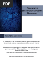 Fisiologia - 04 - Receptores Sensoriais e Circuitos