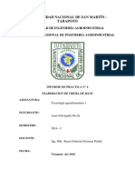 Elaboración de Mantequilla de Maní