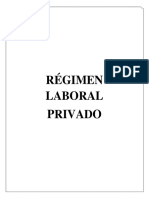 Regimen Laboral Privado