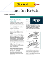 Libro: Disfunción Eréctil y Disfunción Sexual PDF