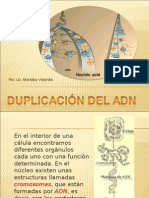 Duplicacion de ADN