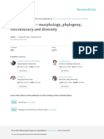 Pestalotiopsis-Morphology, Phylogeny, Biochemistry and Diversity