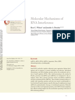 Molecular Mechanisms of RNA Interference: Further