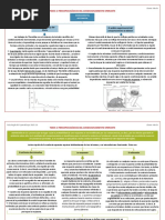 Esquema-Resumen Tema 4. Llanos