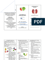 Tríptico Renal PDF