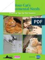 Your Cat's Environmental Needs: Practical Tips For Pet Owners