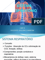 Sistema Respiratório - Aula