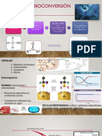 Procesos de Bioconversión