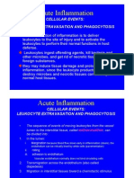 Inflammation Lecture4