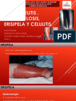 Osteomielitis, Salmonelosis, Erisipela y Celulitis