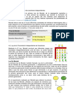 Trabjo Leyes de Mendel