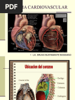 Super Corazon Biomedicas