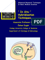 "In Situ" Hybridization Techniques