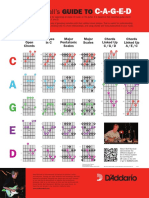 DAPO DP0040 CAGED System 46246 PDF