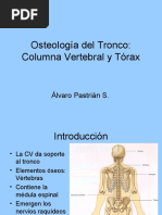 Osteología Del Tronco