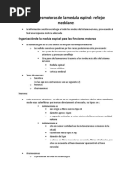 55-Funciones Motoras de La Medula Espinal