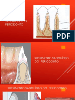 Suprimento Periodonto