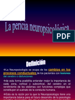 Pericia Neuropsicologica