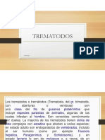 Trematodos PDF