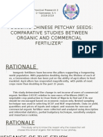 Focusing Chinese Petchay Seeds