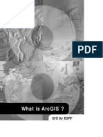 What Is Arcgis PDF