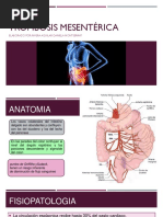 Trombosis Mesentérica