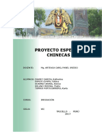 Proyecto