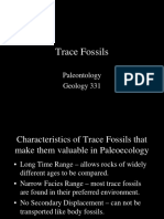 Trace Fossils