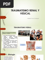 Trauma Renal y Vesical