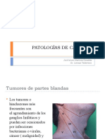 Patologías de Cabeza y Cuello