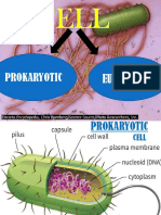 Science PROKARYOTICEUKARYOTIC