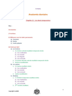 Chapitre 13 Dents Temporaires