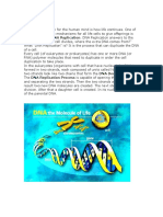 DNA Replication