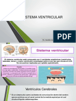 Sistema Ventricular