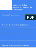 Desarrollo y Maduración de Los Linfocitos