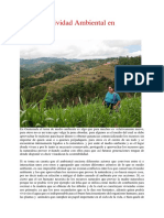 La Conflictividad Ambiental en Guatemala